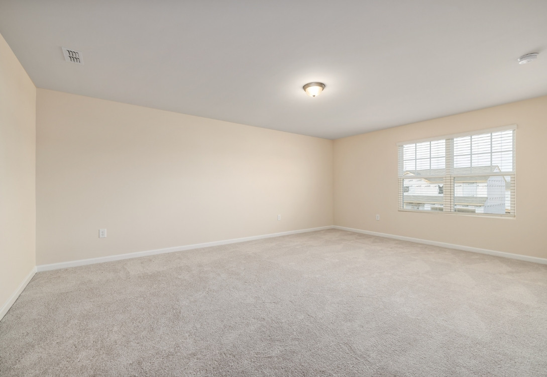 Professional carpet cleaning service by 5S Clean Up in Minneapolis, St. Paul, and surrounding Twin Cities suburbs
